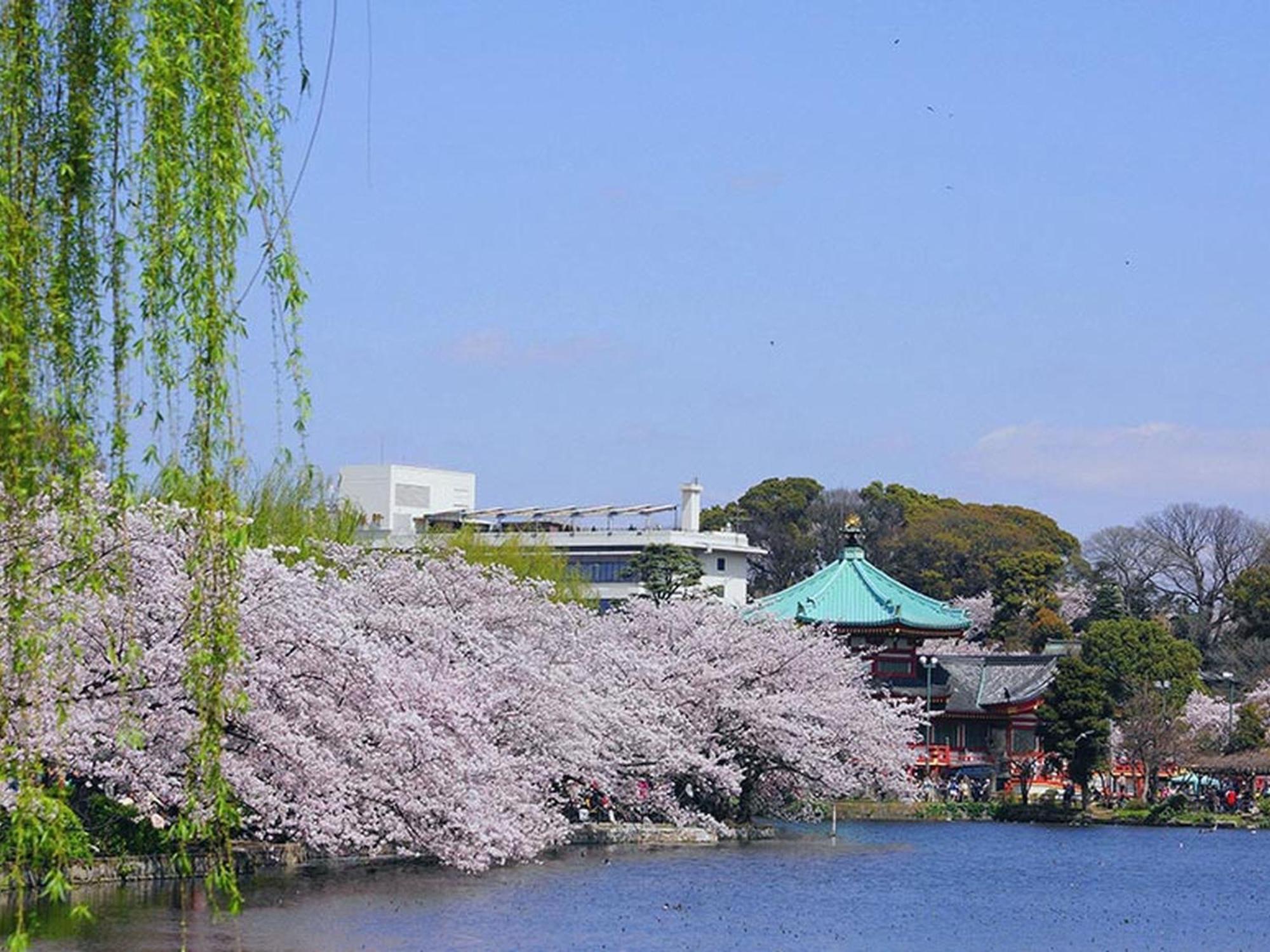 Mystays Ueno Iriyaguchi 3* Präfektur Tokio